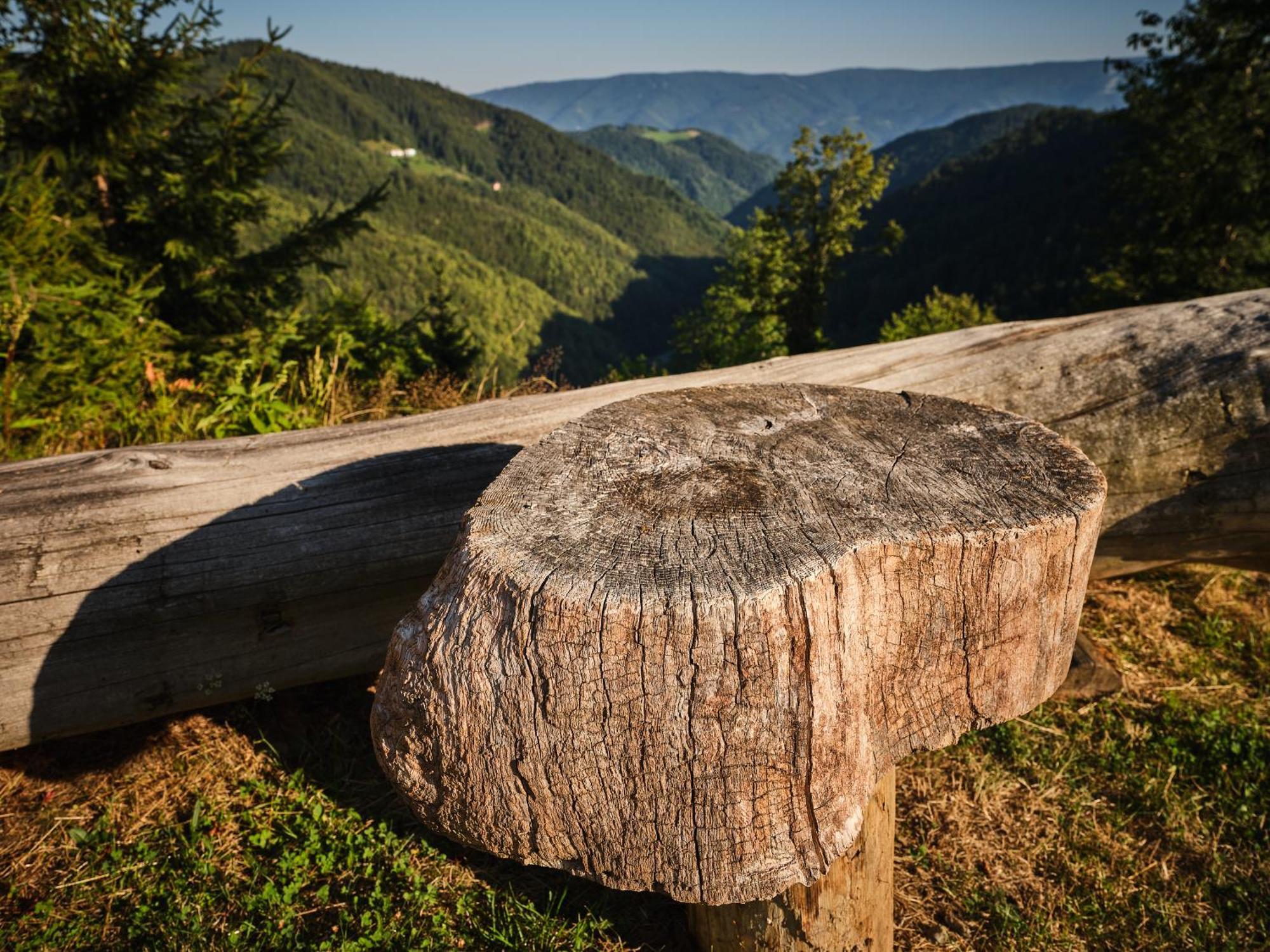 Chalets Toplak Sveti Duh na Ostrem Vrhu 외부 사진